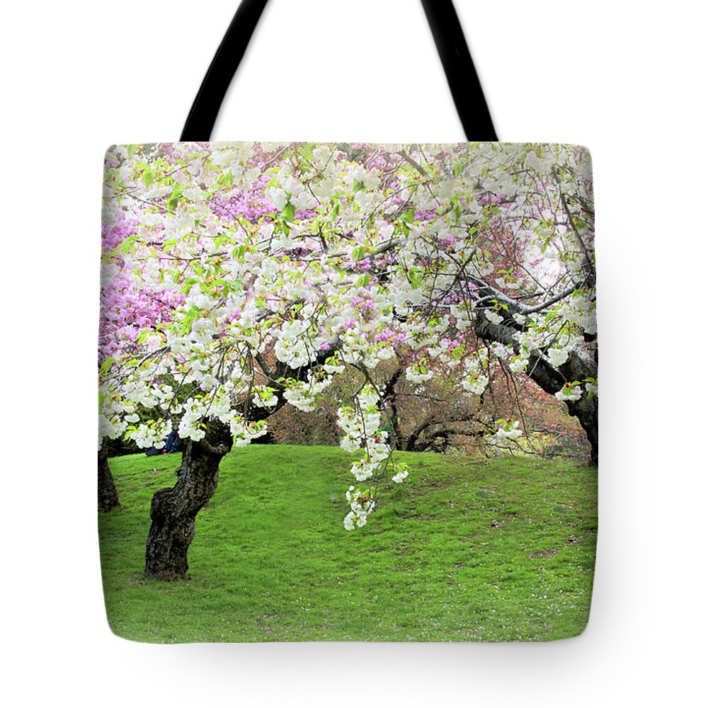 Cherry Trees Tote Bag featuring the photograph Asian Inspiration by Jessica Jenney
