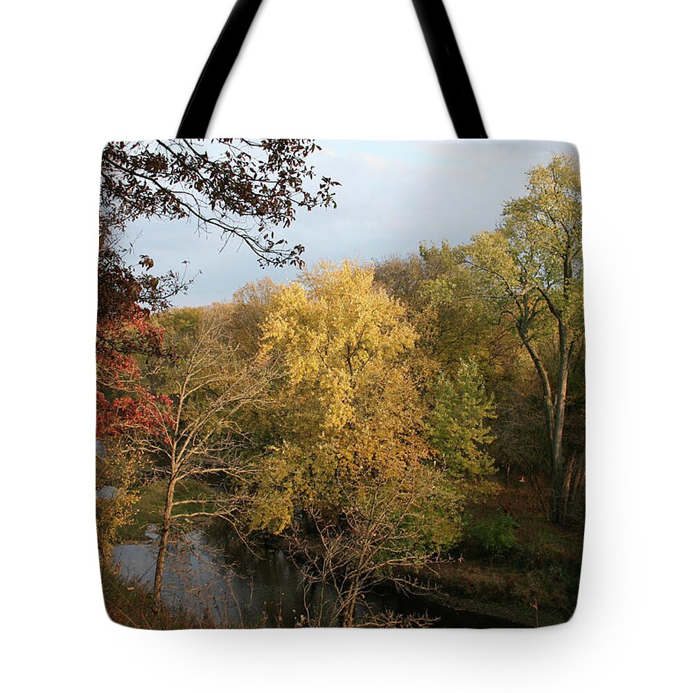 Mackinaw Foliage Transition Tote Bag featuring the photograph Mackinaw Foliage Transition by Dylan Punke