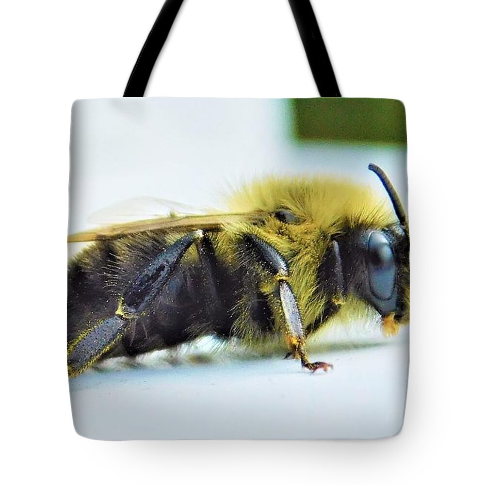 - Macro Bee Tote Bag featuring the photograph - Macro Bee by THERESA Nye