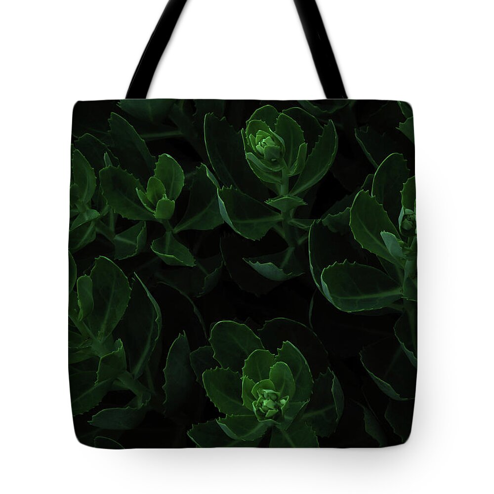 Black Background Tote Bag featuring the photograph Macro View Of Green Flowers by Michael Duva