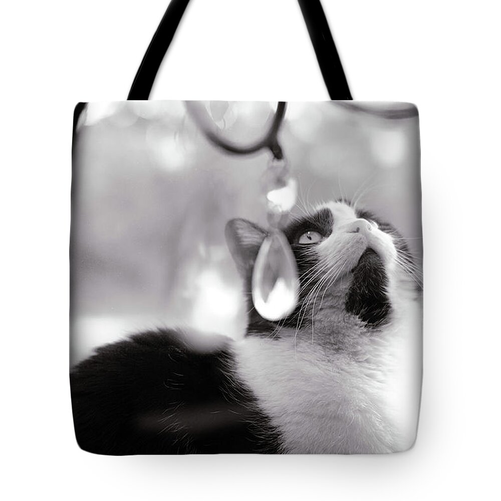 Cat Photograph Tote Bag featuring the photograph Magic Crystals by Irina ArchAngelSkaya
