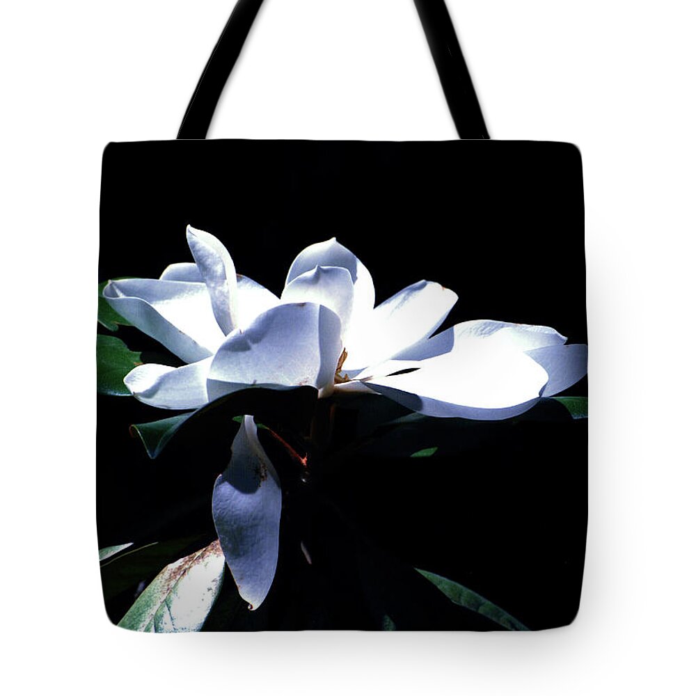 Flower Tote Bag featuring the digital art Magnolia Blossom by Linda Cox