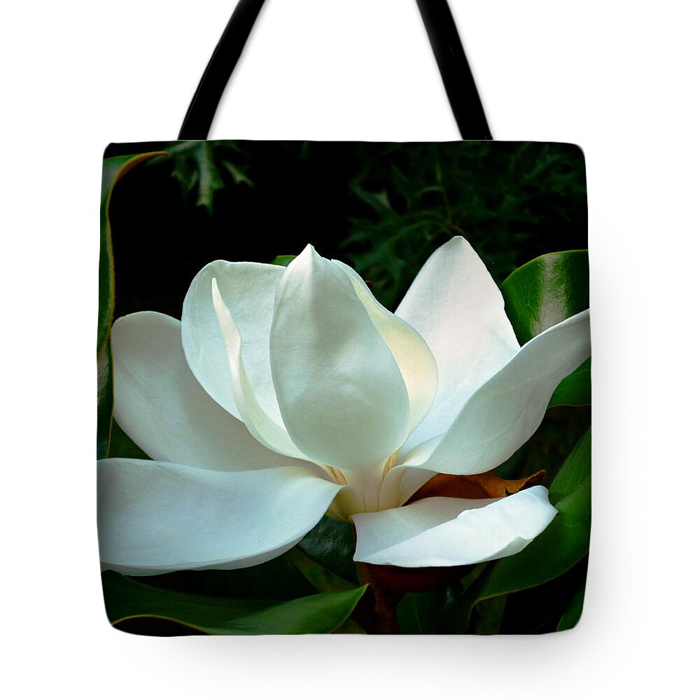 Southern Magnolia Tote Bag featuring the photograph Magnolia Closeup Bright by Mike McBrayer