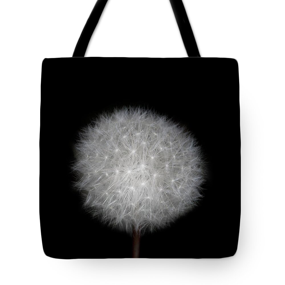Wishing Tote Bag featuring the photograph Make A Wish On A Dandelion by Michael Duva
