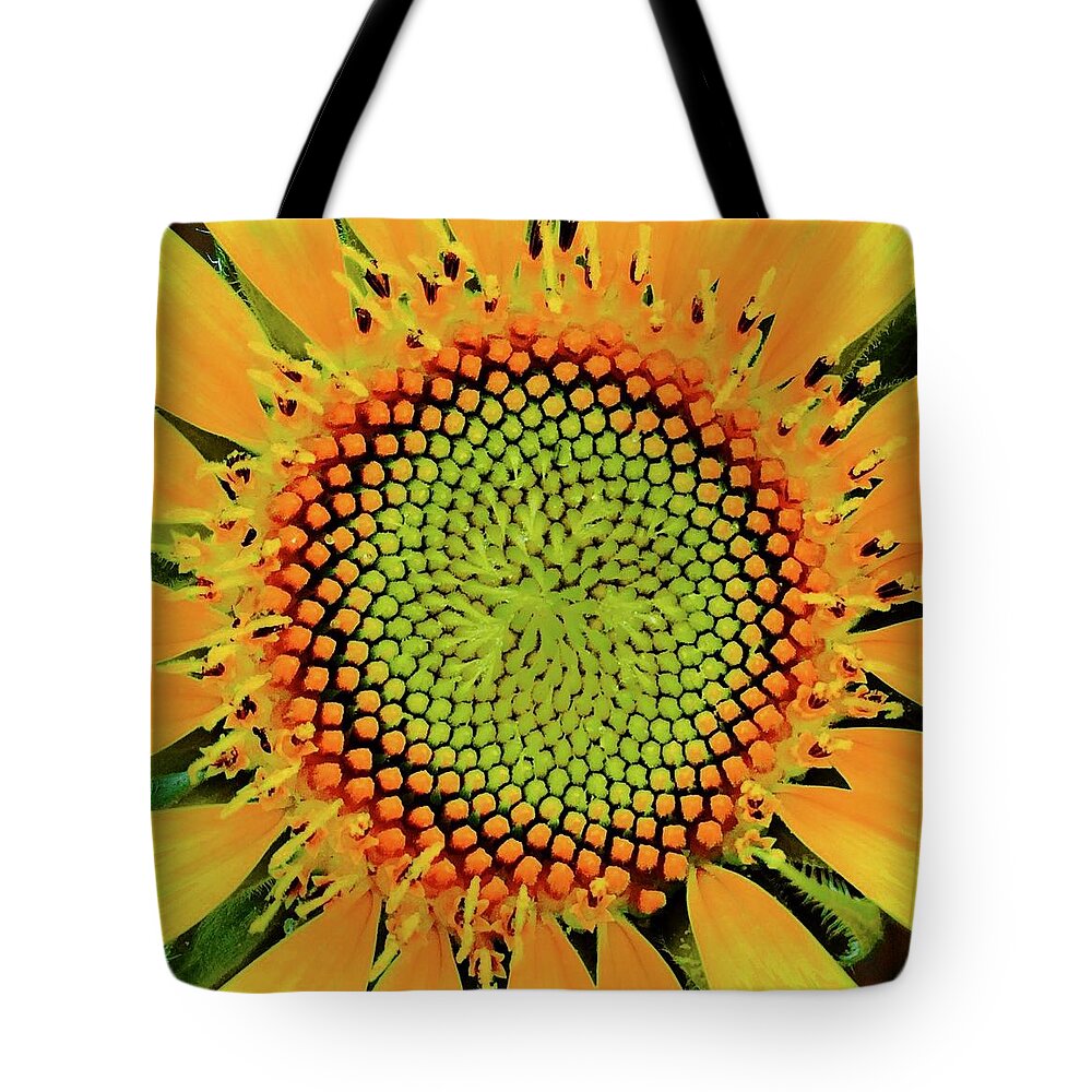 Sunflower In Bloom Tote Bag featuring the photograph Makes Me Dizzy by Debra Grace Addison