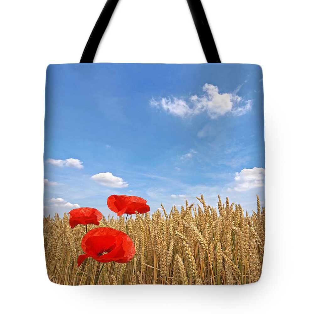 Farm Landscape Tote Bag featuring the photograph Making A Splash Red Poppies In Wheat Field by Gill Billington