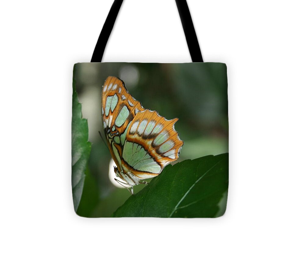 Malachite Tote Bag featuring the photograph Malachite butterfly by Nigel Radcliffe