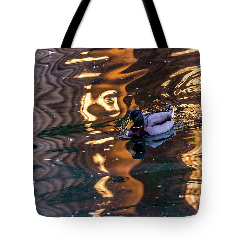 Mallard Tote Bag featuring the photograph Mallard in Reflections by Kate Brown