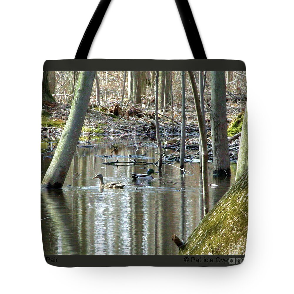Duck Tote Bag featuring the photograph Mallard Pair by Patricia Overmoyer