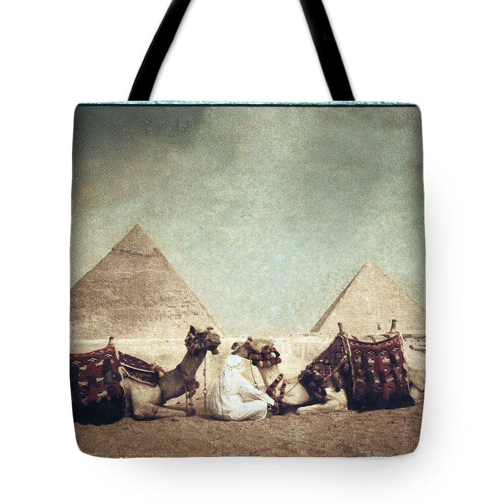 Working Animal Tote Bag featuring the photograph Man Sitting With Camels, Giza, Egypt by Will & Deni Mcintyre