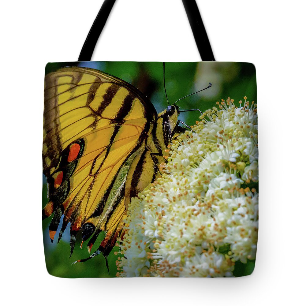Butterfly Tote Bag featuring the photograph Manassas Butterfly by Lora J Wilson