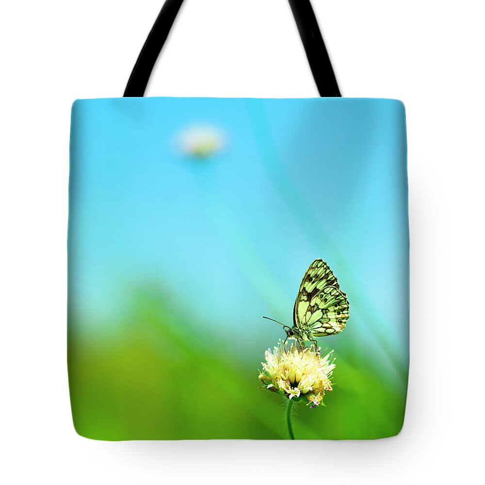 Insect Tote Bag featuring the photograph Marbled White Butterfly Pollinating by Pawel.gaul