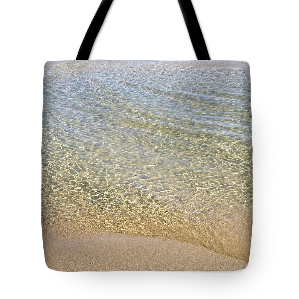 March Tote Bag featuring the photograph March Sun by Ellen Paull