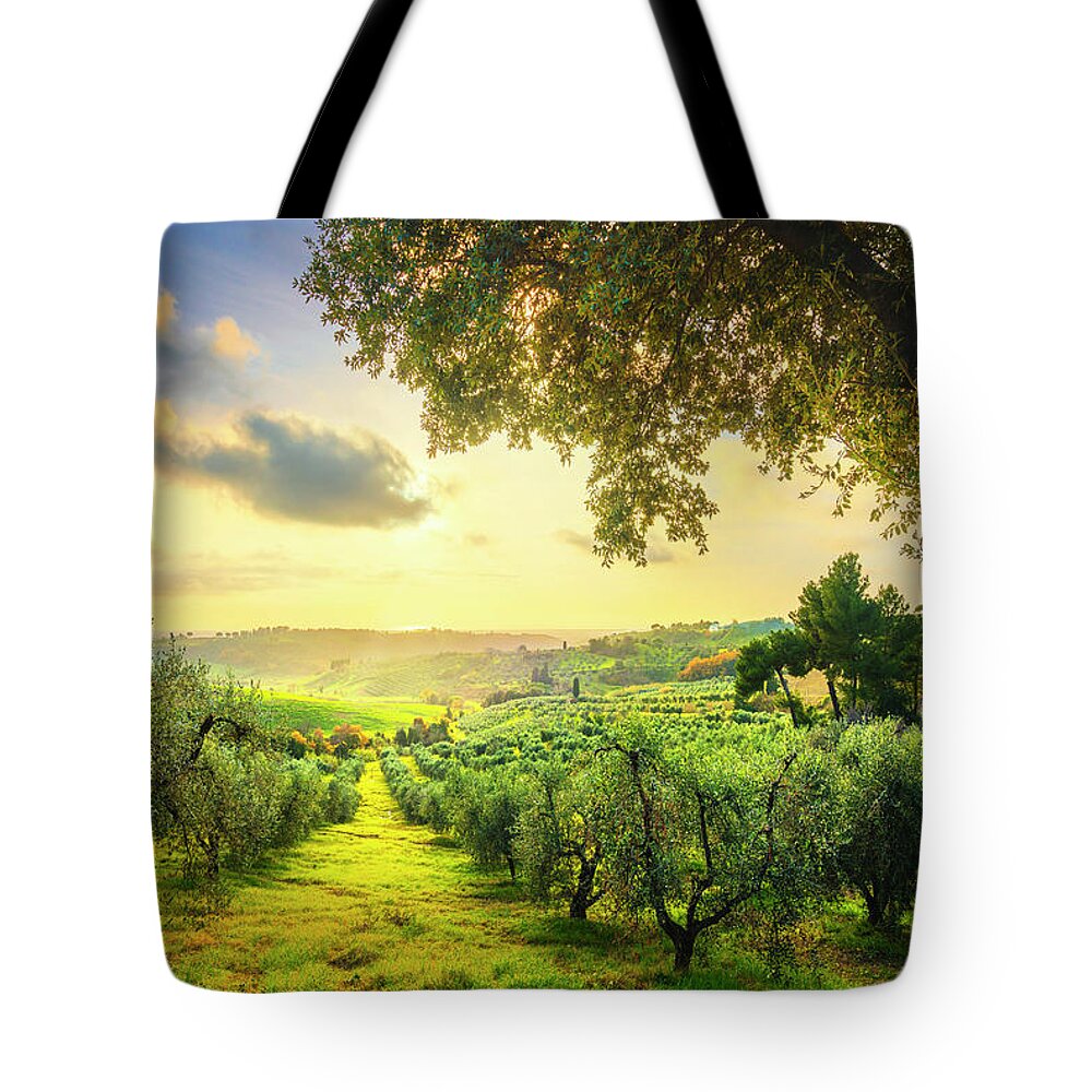 Olive Tote Bag featuring the photograph Maremma countryside panorama and olive trees on sunset. Casale M by Stefano Orazzini
