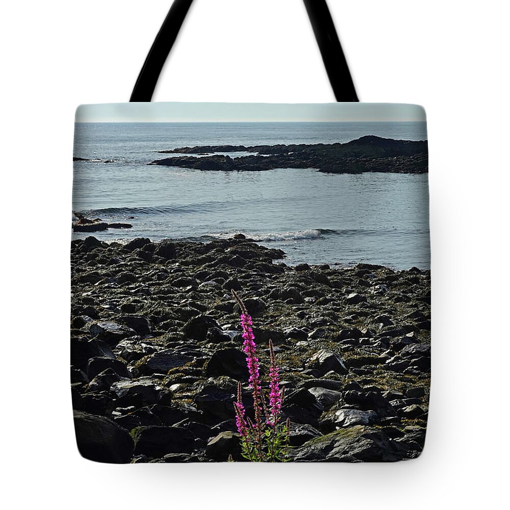 Ogunquit Tote Bag featuring the photograph Marginal Way Lupine Ogunquit Maine by Toby McGuire