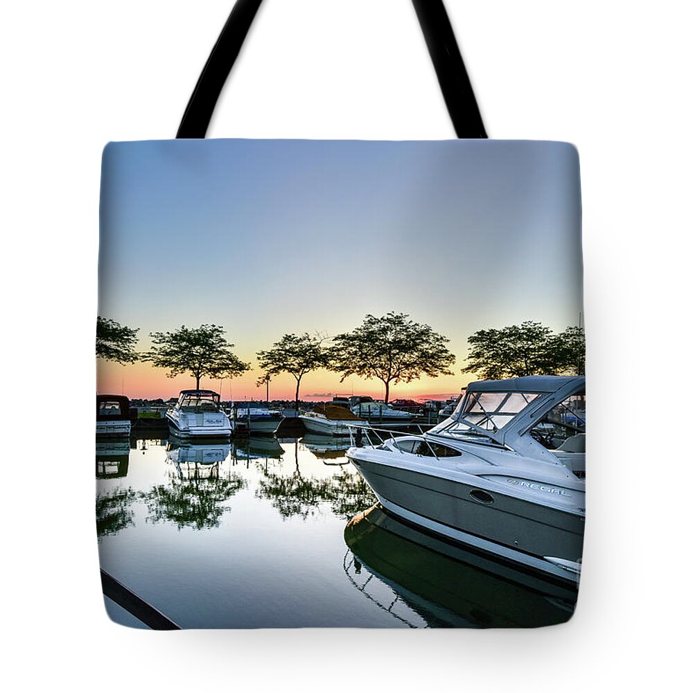 Sawmill Creek Tote Bag featuring the photograph Marina morning by Paul Quinn