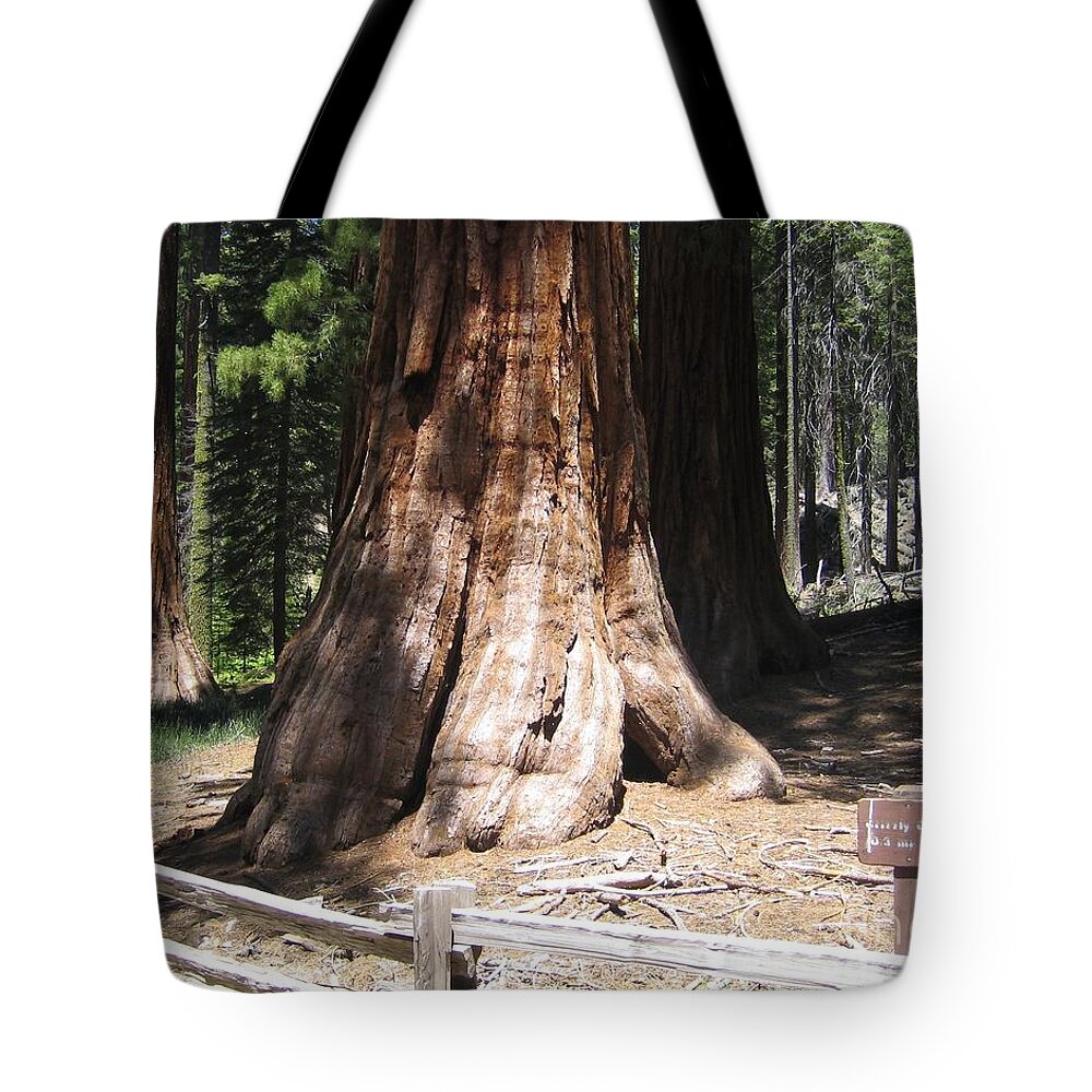 Yosemite Tote Bag featuring the photograph Mariposa Old Tall Giant Tree Trunk Yosemite National Park by John Shiron