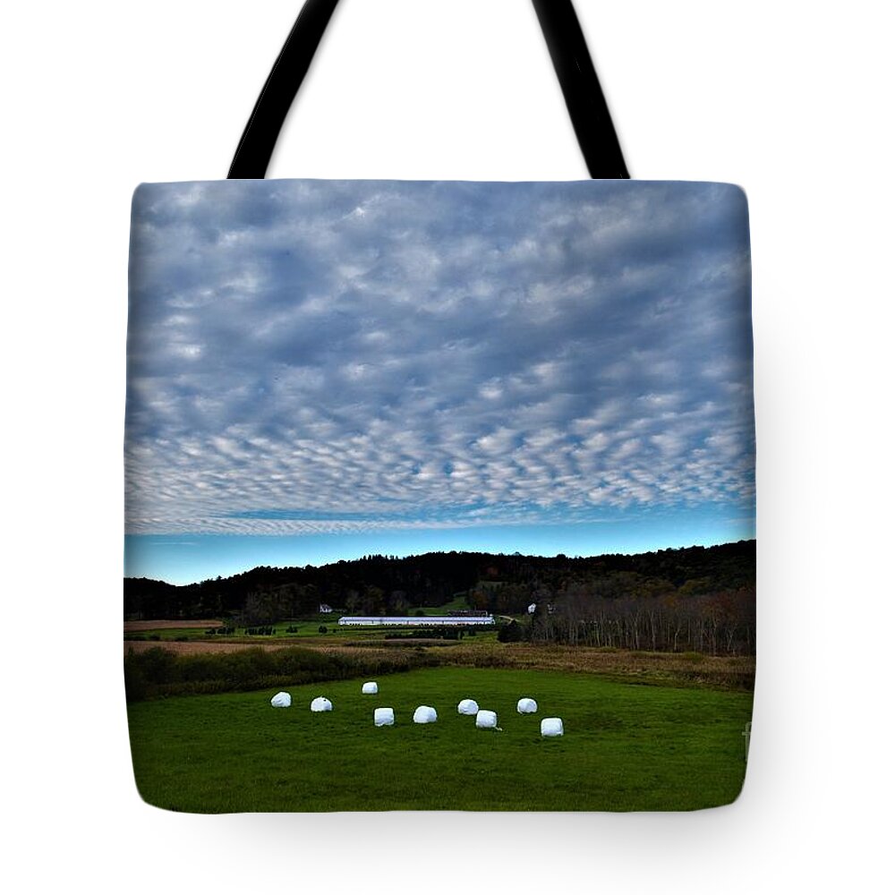 Autumn Tote Bag featuring the photograph Marshmallow Field by Dani McEvoy
