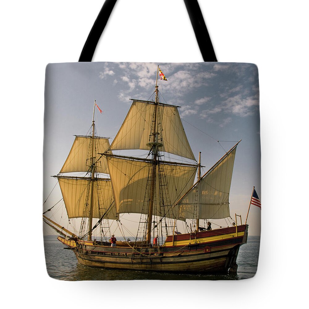 Maryland Dove Tote Bag featuring the photograph Maryland Dove by Minnie Gallman