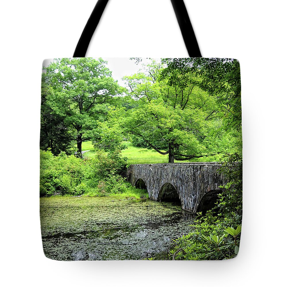 Maudslay State Park Tote Bag featuring the photograph Maudslay State Park by Liz Mackney