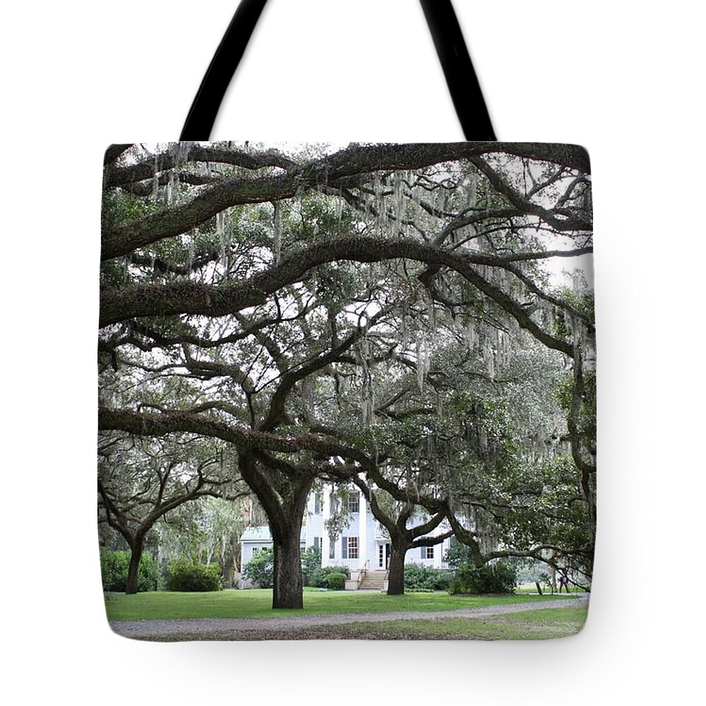 Mcleod Tote Bag featuring the photograph McLeod Plantation by Flavia Westerwelle