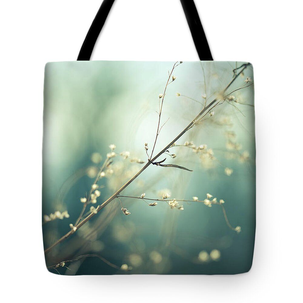Scenics Tote Bag featuring the photograph Meadow by Jeja
