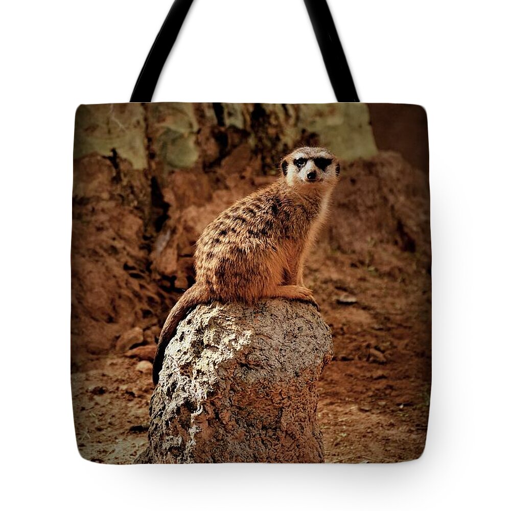 Meerkat Tote Bag featuring the photograph Meerkat by Lucie Dumas