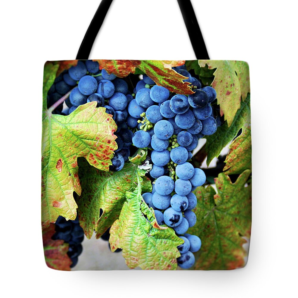 Grapes Tote Bag featuring the photograph Merlot - Wine Country Photography by Melanie Alexandra Price