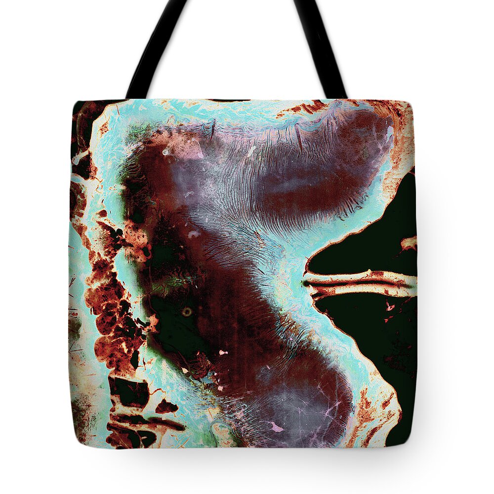 Sequential Series Tote Bag featuring the photograph Microbe-grunge Wallpaper by Jitalia17