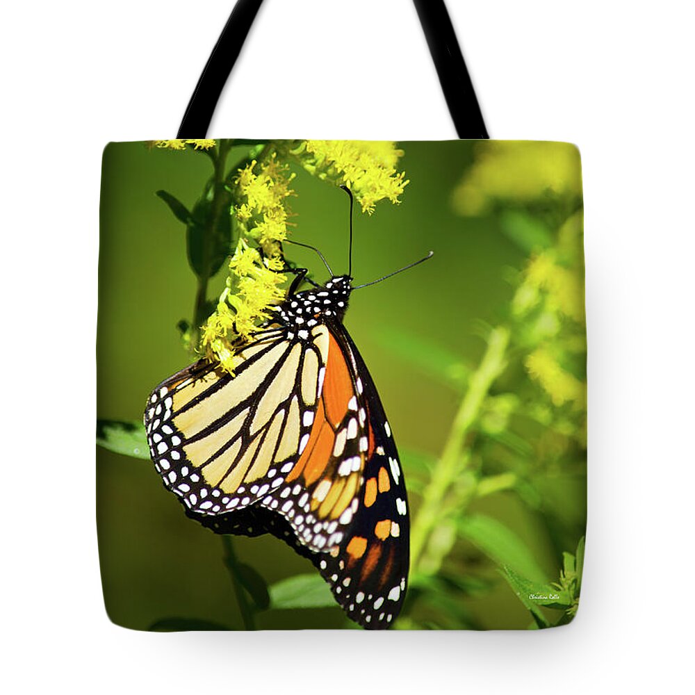 Monarch Butterfly Tote Bag featuring the photograph Migrating Monarch Butterfly by Christina Rollo