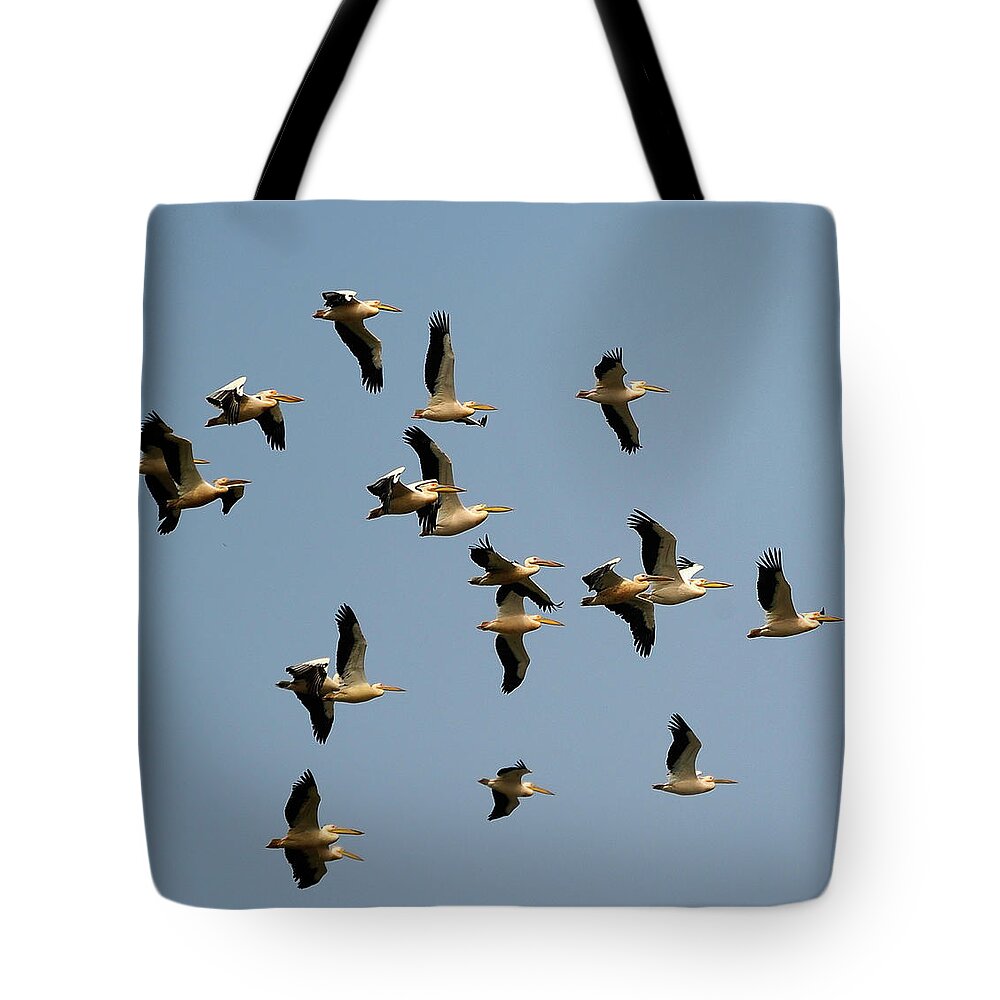Following Tote Bag featuring the photograph Migration Of Birds by Haykirdi