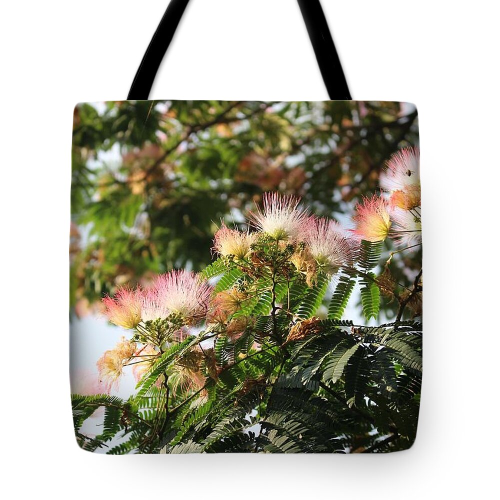 Mimosa Tote Bag featuring the photograph Mimosa Tree Flowers by Christopher Lotito