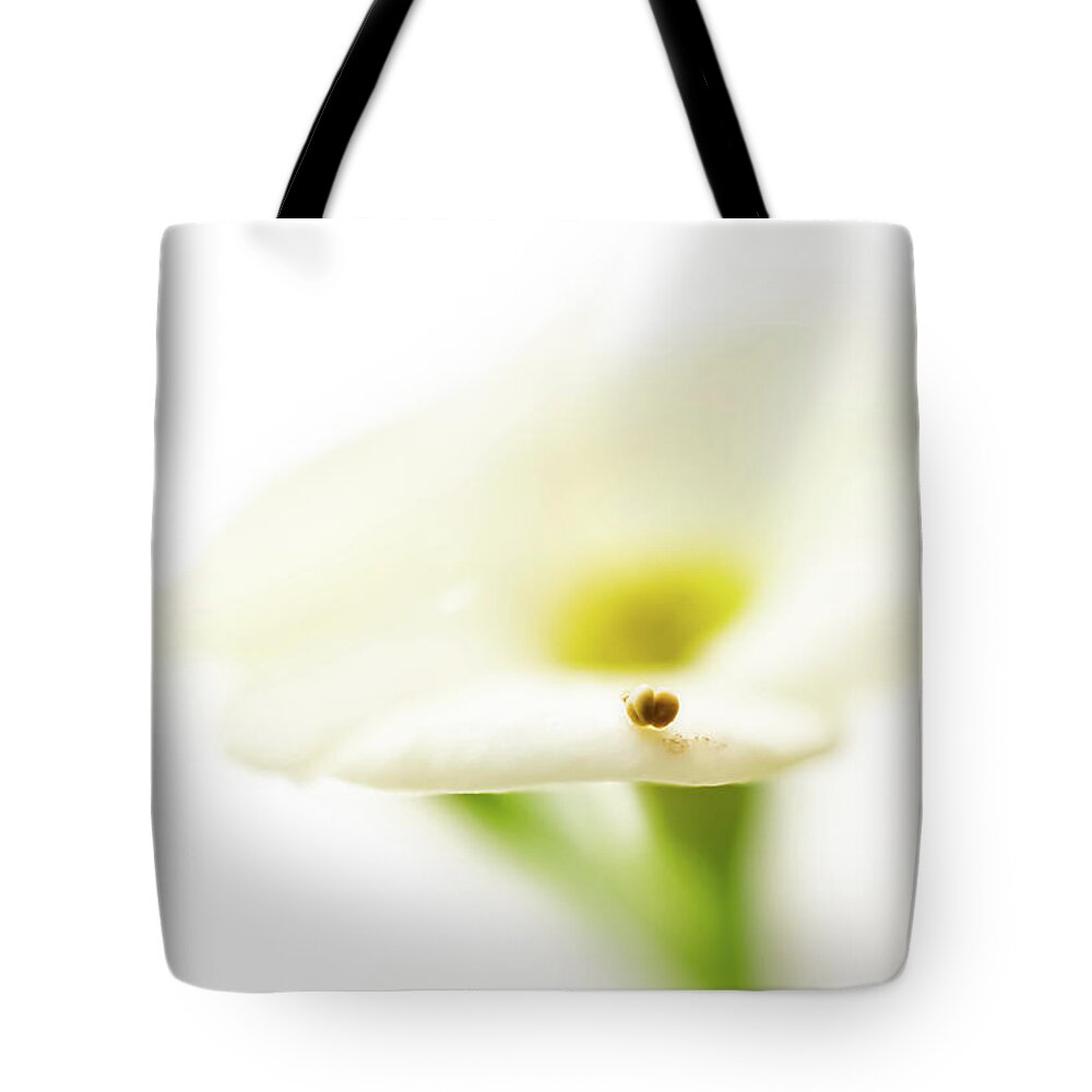 Outdoors Tote Bag featuring the photograph Mini Bug by Silvia Marcoschamer