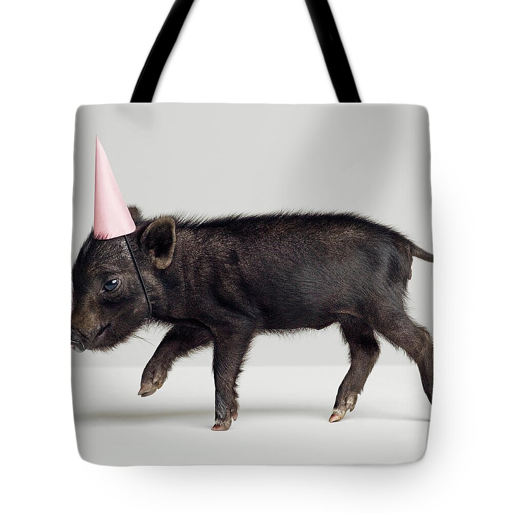 Pets Tote Bag featuring the photograph Miniature Piglet Wearing Party Hat by Roger Wright