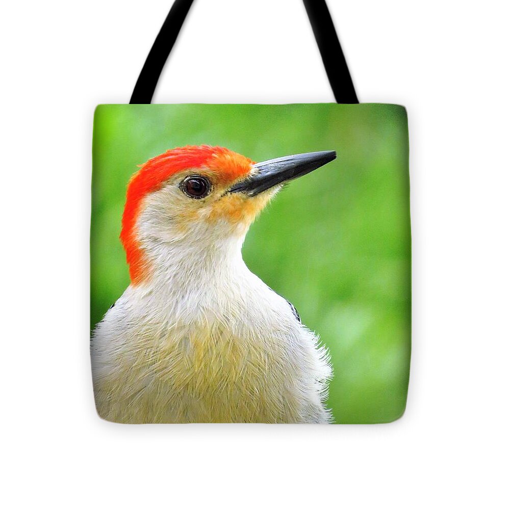 Woodpeckers Tote Bag featuring the photograph Mister Red Bellied Woodpecker by Lori Frisch