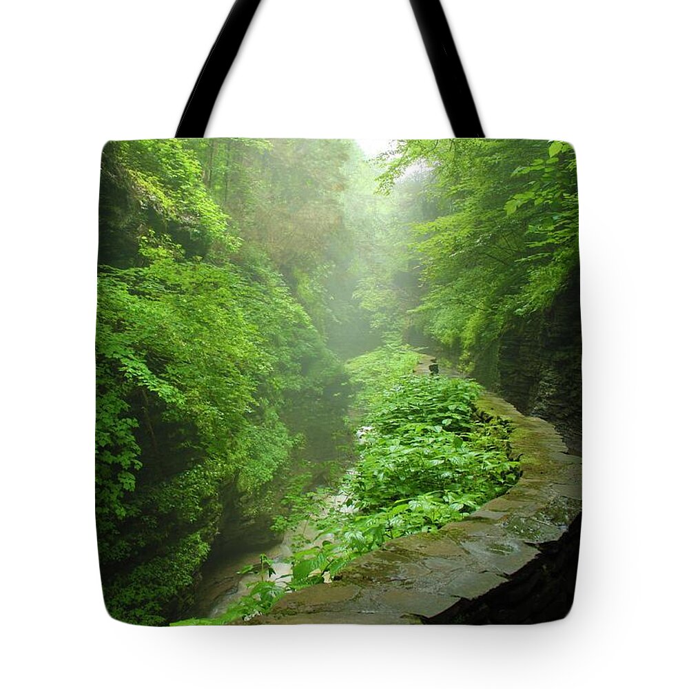 Nunweiler Tote Bag featuring the photograph Misty Evening at Watkins Glen by Nunweiler Photography