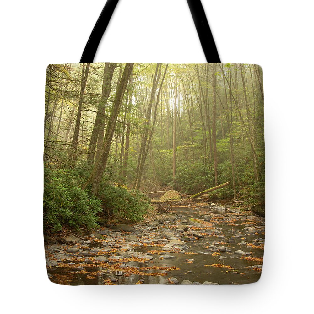 Autumn Tote Bag featuring the photograph Misty Morn At Dingmans Creek by Kristia Adams