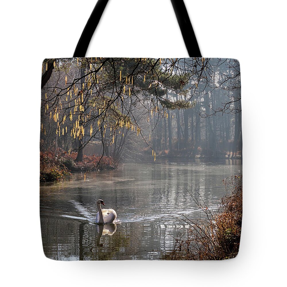  Landscape Tote Bag featuring the photograph Misty Morning Calm 1 by Shirley Mitchell