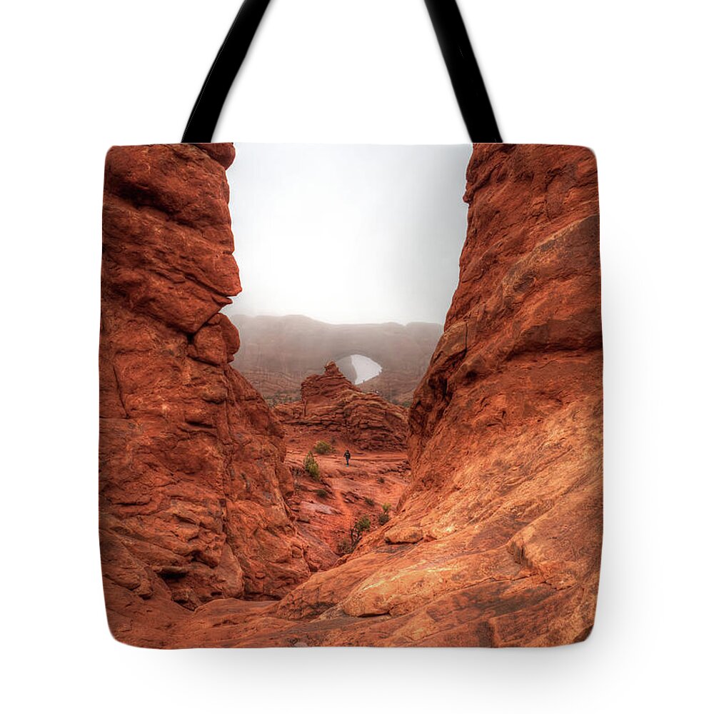 Americas Best Idea Tote Bag featuring the photograph Misty Window by David Andersen