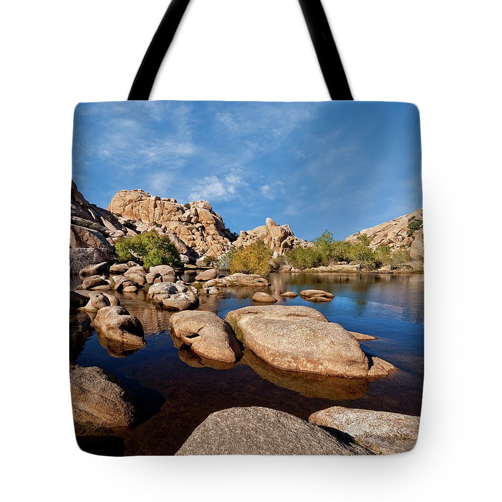 Arid Climate Tote Bag featuring the photograph Mojave Desert Oasis by Jeff Goulden