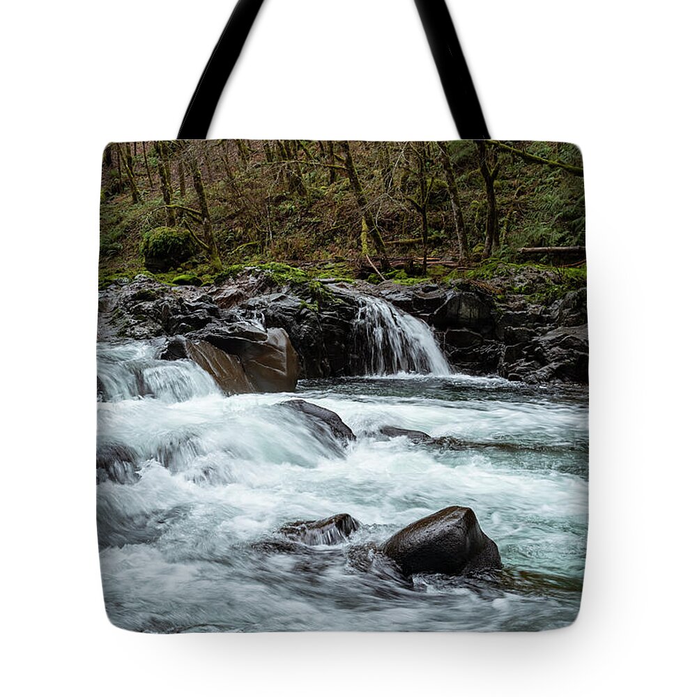 Rivers Tote Bag featuring the photograph Molalla Cascade by Steven Clark