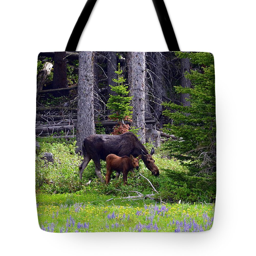 Moose Tote Bag featuring the photograph Mom and Baby by Dorrene BrownButterfield