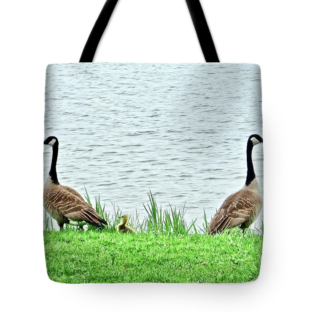Geese Tote Bag featuring the photograph Mom and Dad Protecting Their Baby by Kathy Chism