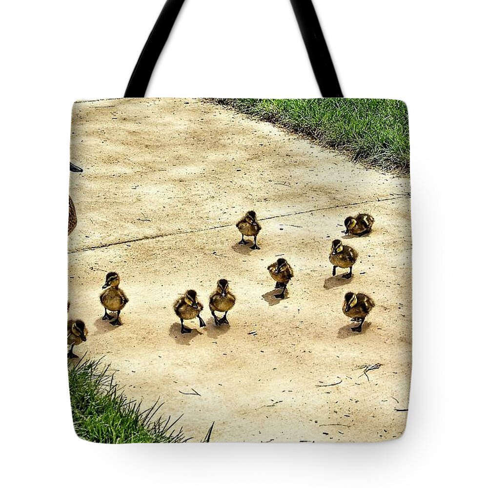 Ducks Tote Bag featuring the photograph Momma and Ducklings by Allen Nice-Webb