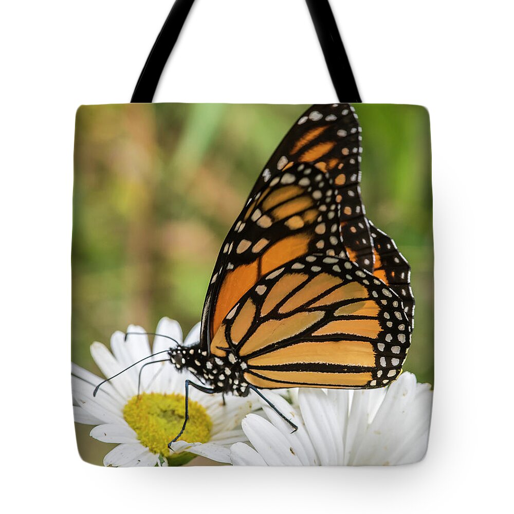 Butterfly Tote Bag featuring the photograph Monarch and Daisies by Cathy Kovarik