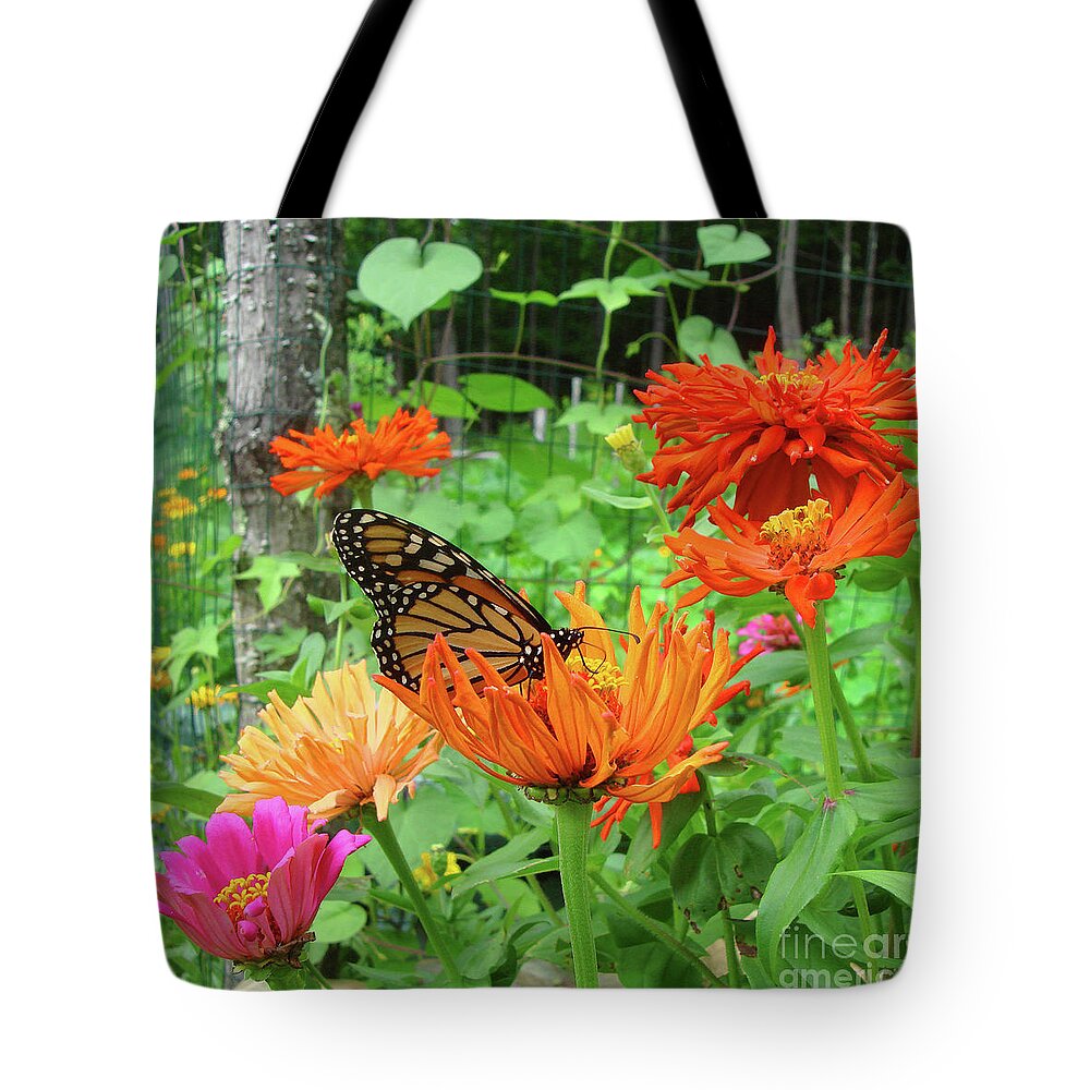 Monarch Tote Bag featuring the photograph Monarch and Zinnia 3 by Amy E Fraser
