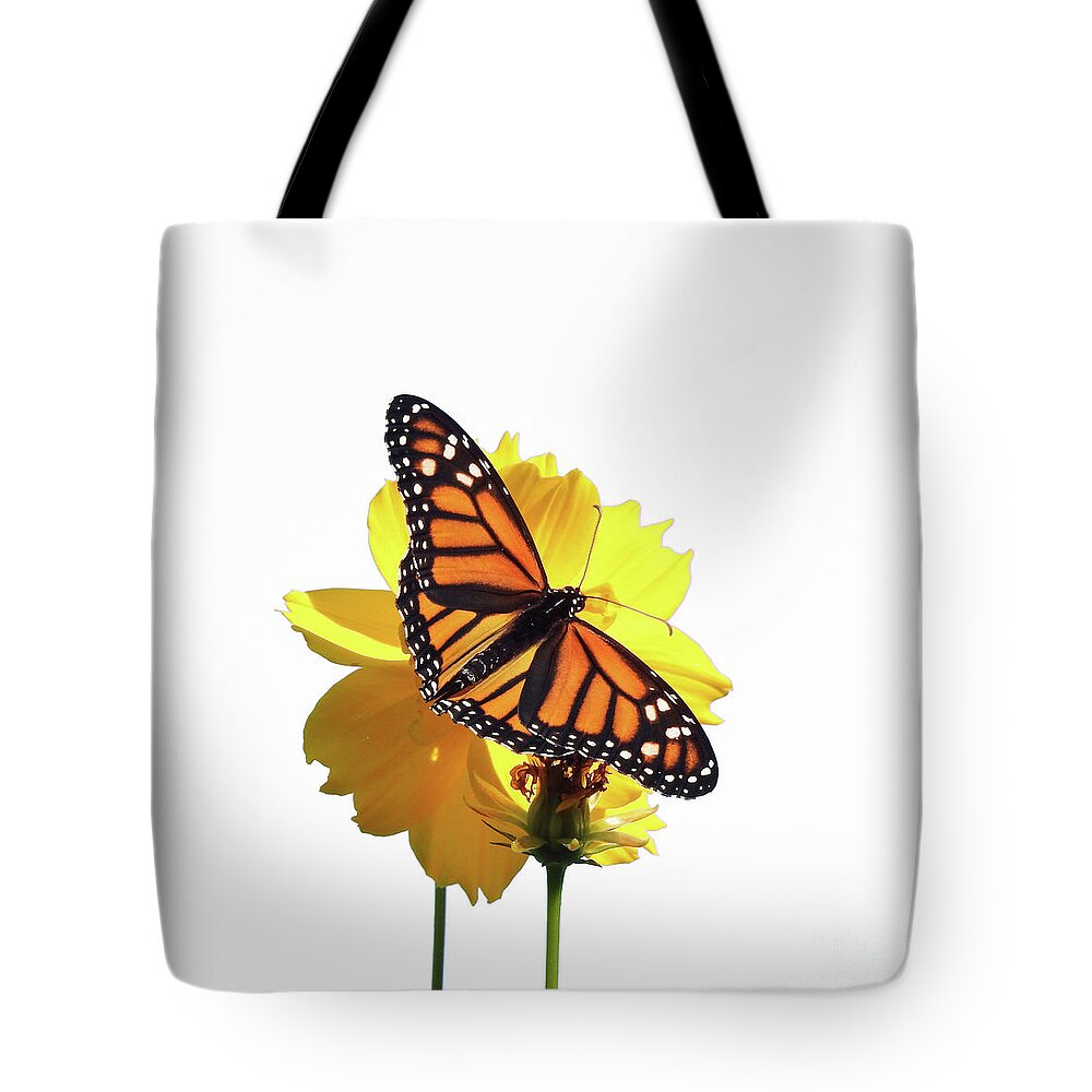 Monarch Butterfly Tote Bag featuring the photograph Monarch Butterfly Art by Scott Cameron