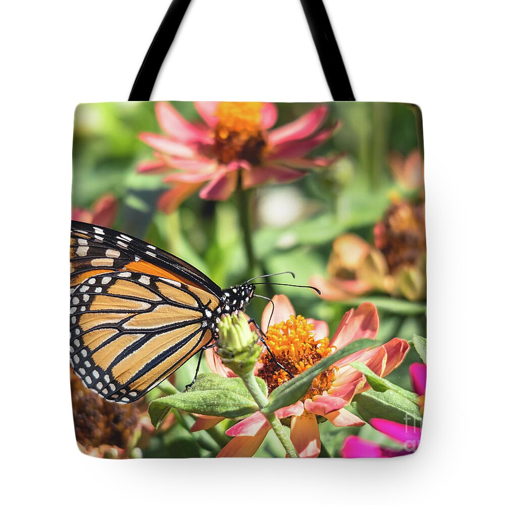 Cheryl Baxter Photography Tote Bag featuring the photograph Monarch Butterfly by Cheryl Baxter