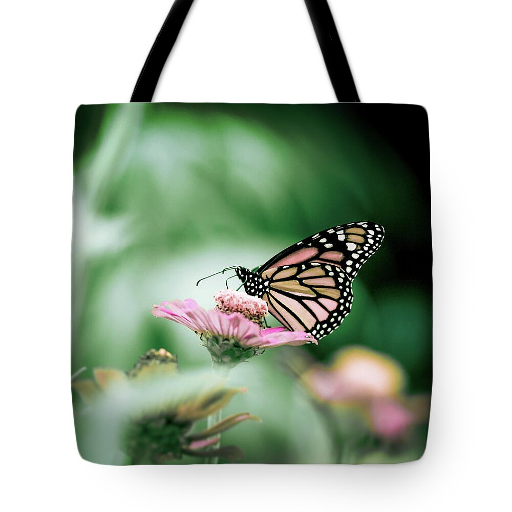 Insect Tote Bag featuring the photograph Monarch Butterfly In Colorful Flower by Jp Benante
