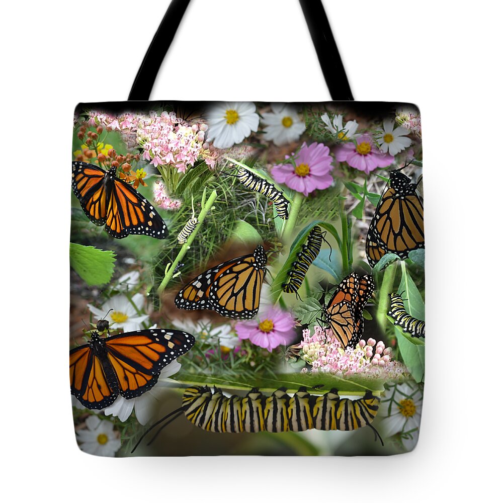Monarch Tote Bag featuring the photograph Monarch Collage by Aimee L Maher ALM GALLERY